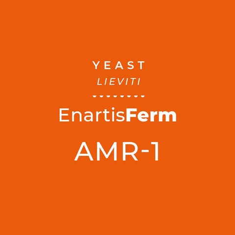ENARTIS FERM AMR-1