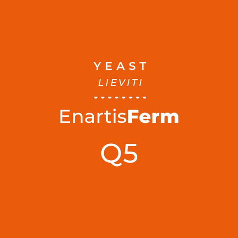 ENARTIS FERM Q5